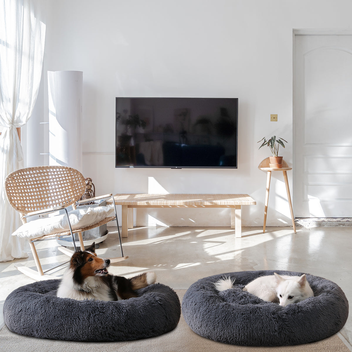 Fluffy Donut Bed for Cozy, Comforting Winter Sleep