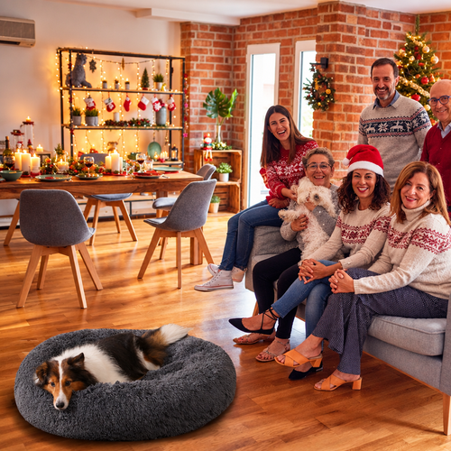 Donut Bed Family Christmas Lifestyle